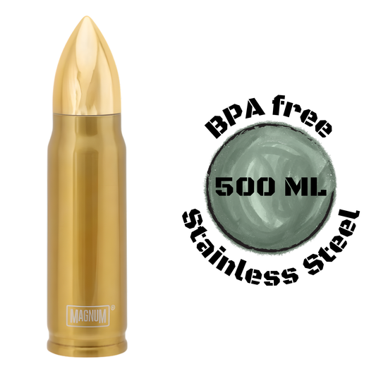 Stainless Steel Bullet Thermo Bottle – BPA-Free (500ml)