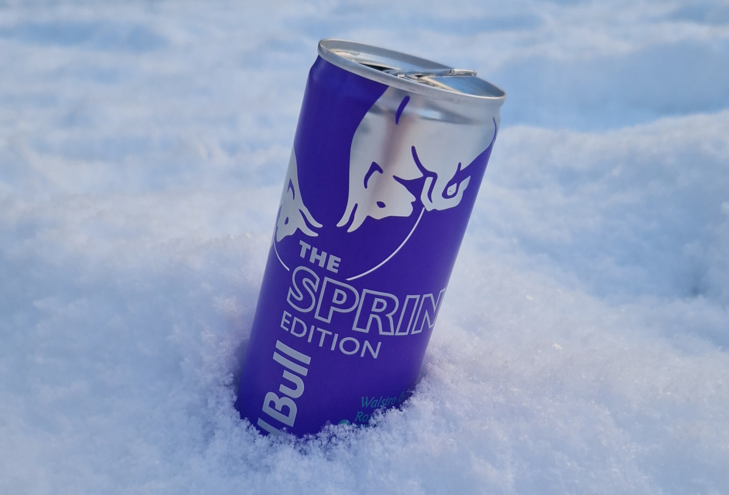 Red Bull collectie bij Violent Design Culture voor studenten en nachtleven in Nederland